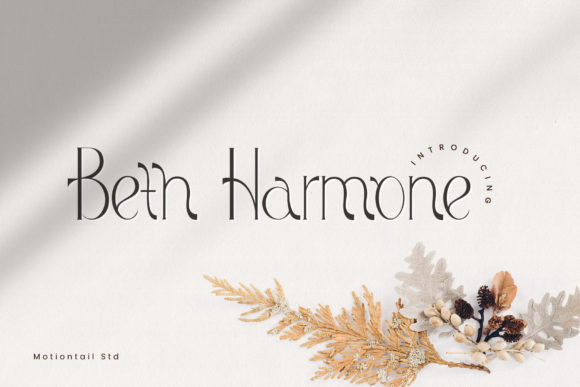 Beth Harmone: A Bold Display Font