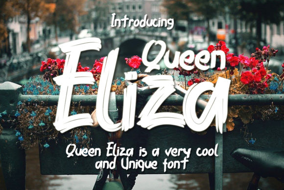Qeen Eliza: A Trendy Display Font