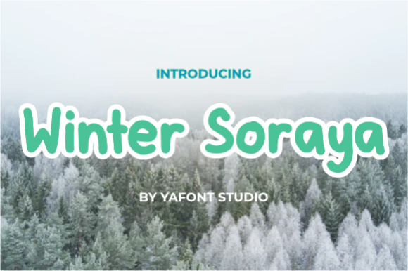 Winter Soraya: A Font for Clear Campaigns